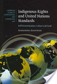 Indigenous rights and United Nations standards : self-determination, culture and land